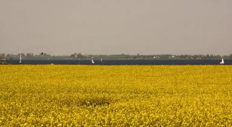 Sommerhus i Hohenkirchen