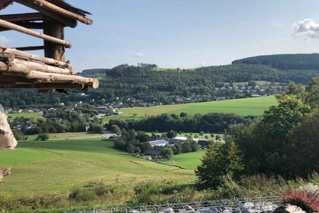 Large Image