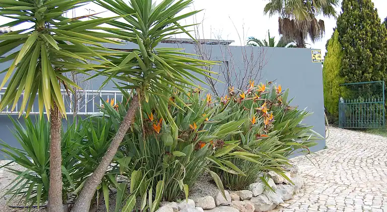 Villa Monte Alegrete med havudsigt