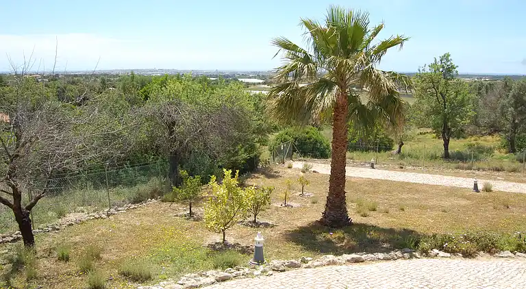 Villa Monte Alegrete med havudsigt