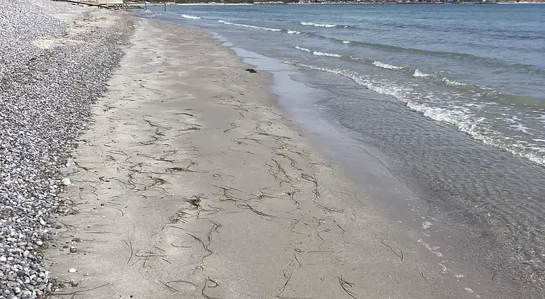 Feriehus ved vandkanten i Rødvig på Stevns