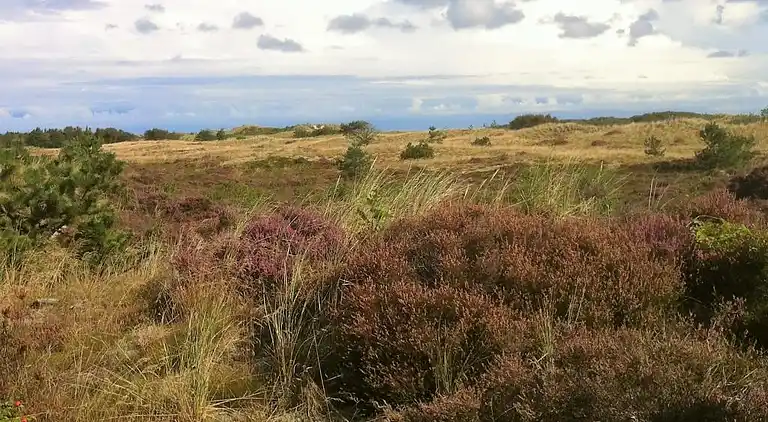 Holiday home in Ålbæk