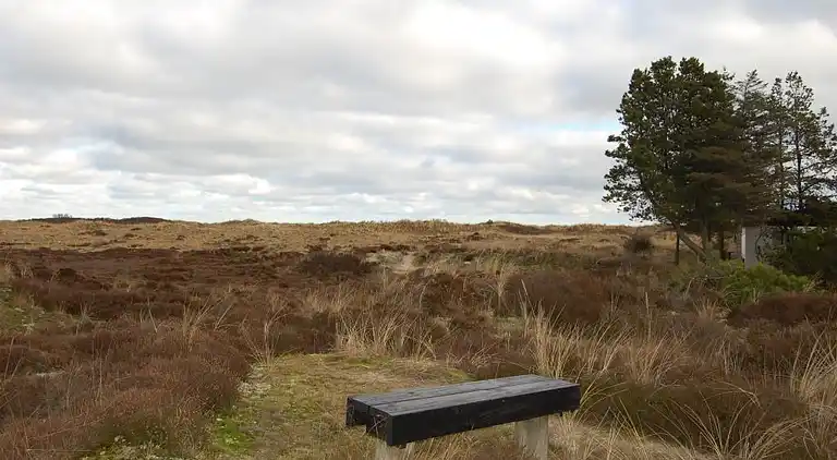 Holiday home in Ålbæk