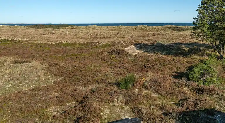 Holiday home in Ålbæk