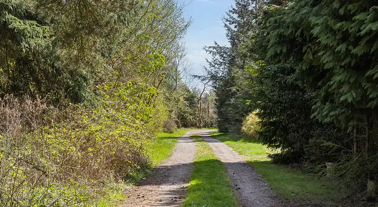 Charmerende sommerhus i rolige omgivelser