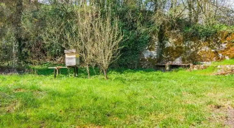 Holiday home in Somme-Leuze