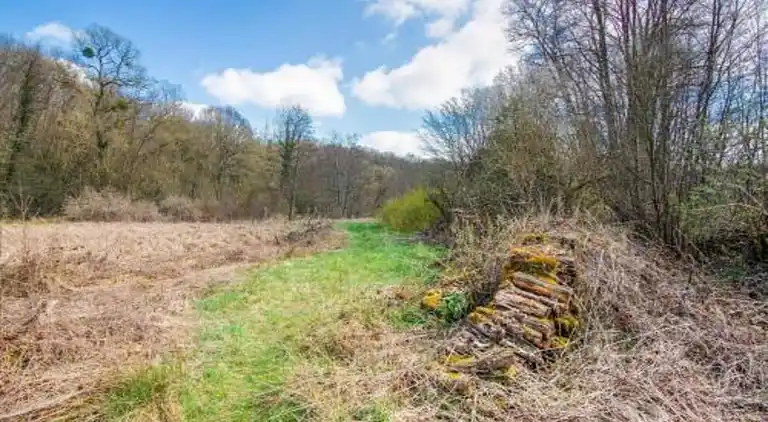 Holiday home in Somme-Leuze