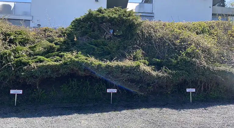 Dejligt sommerhus i Allinge-Sandvig