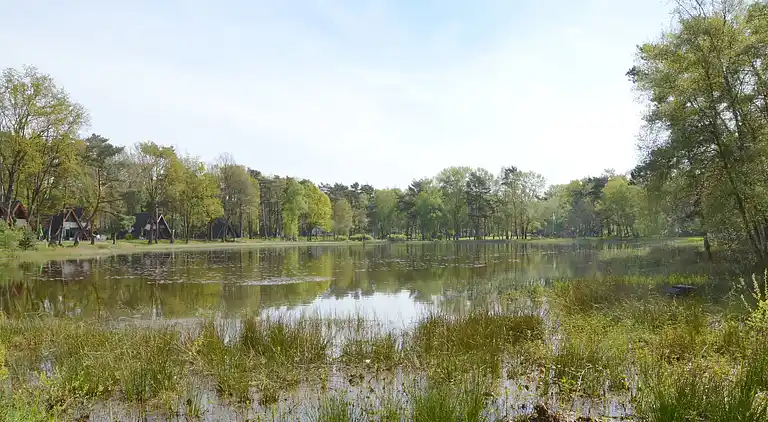 Feriebolig i Stramproy