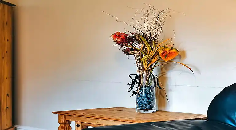 Cottage in Dorrington