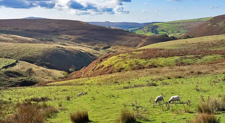 Cottage in Quarnford