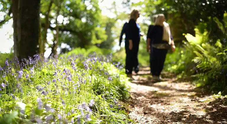 Holiday home in Saint Mellion