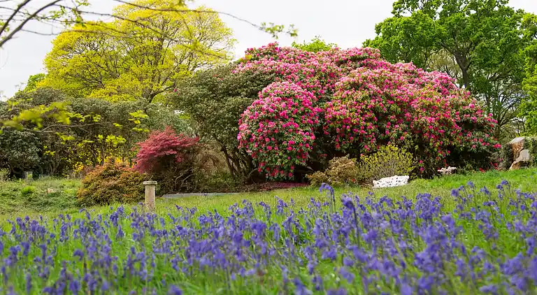 Holiday home in Saint Mellion