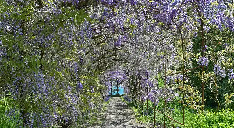 Holiday home in Saint Mellion