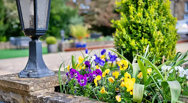 Apartment in Sutton-under-Whitestonecliffe