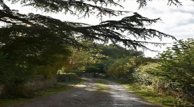 Cottage in Marchamley