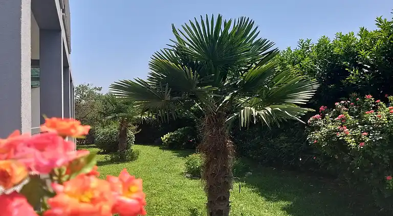 Ferielejlighed i Kaštel Stari