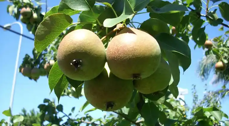 Holiday home in Haut-Fays