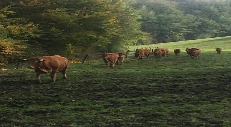 Holiday home in Durbuy