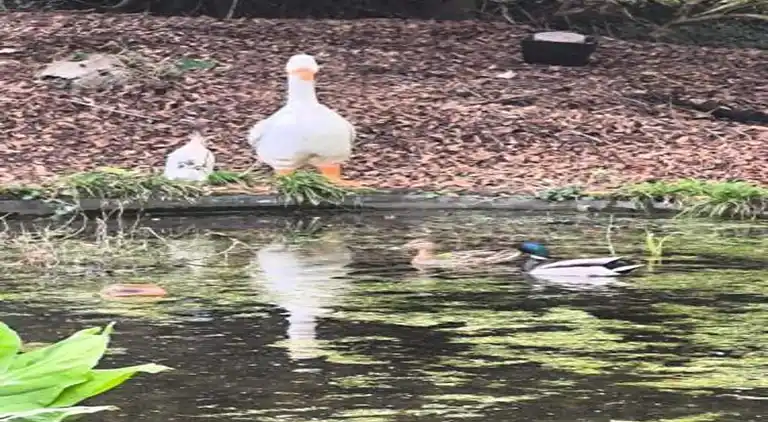 Holiday home in Durbuy