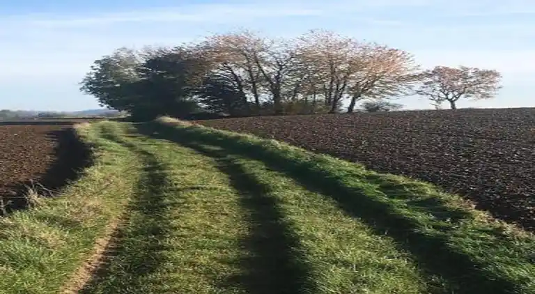 Holiday home in Durbuy