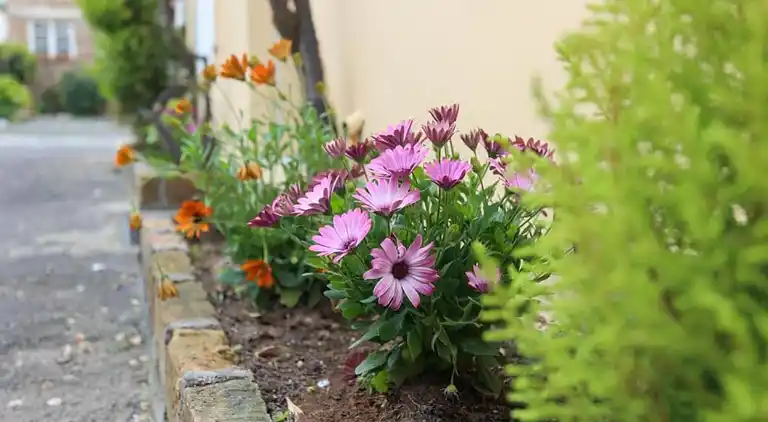 Holiday home in Haut-Fays