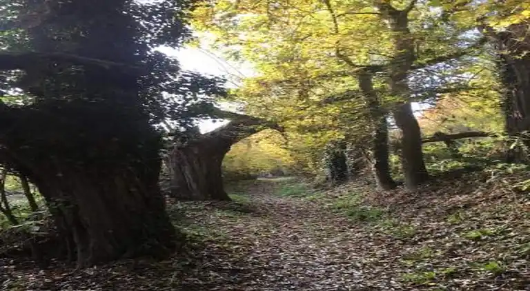 Holiday home in Durbuy