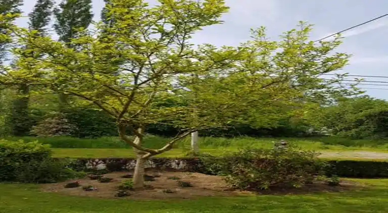 Holiday home in Durbuy