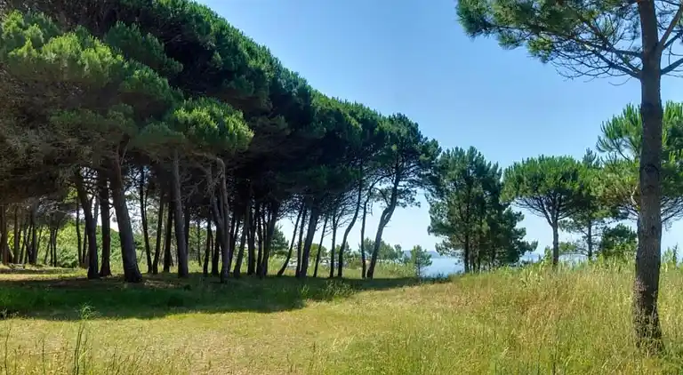 Holiday home in Haut-Fays