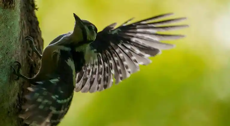 Holiday home in Haut-Fays