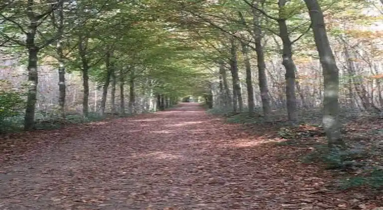 Holiday home in Durbuy