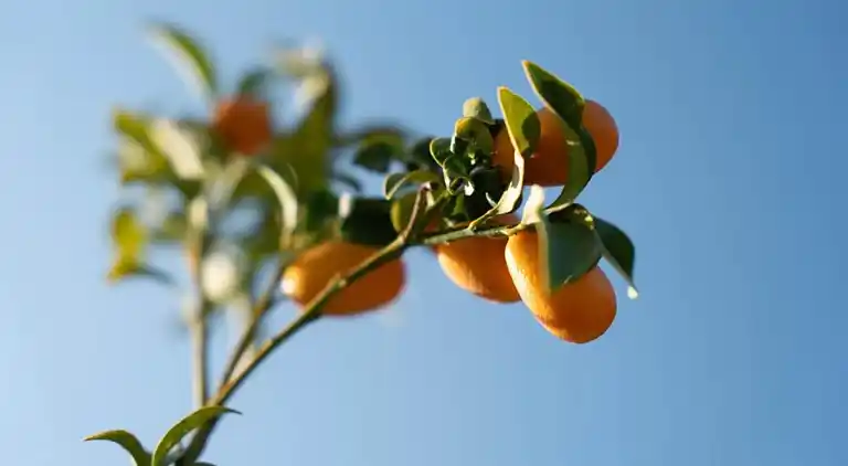 Holiday home in Haut-Fays