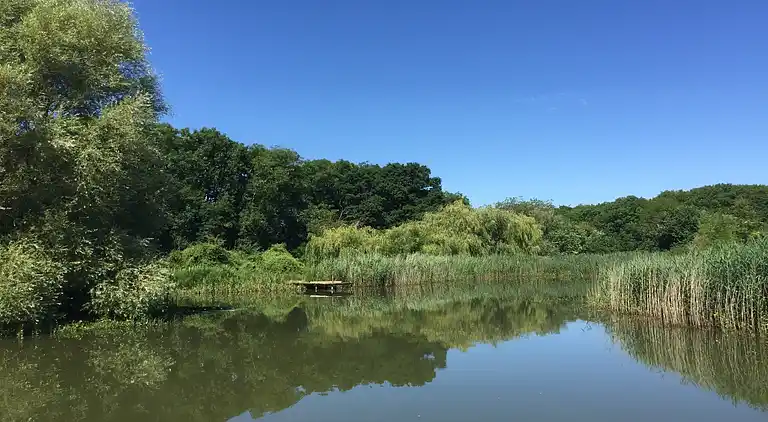 Holiday home in Stoke Trister