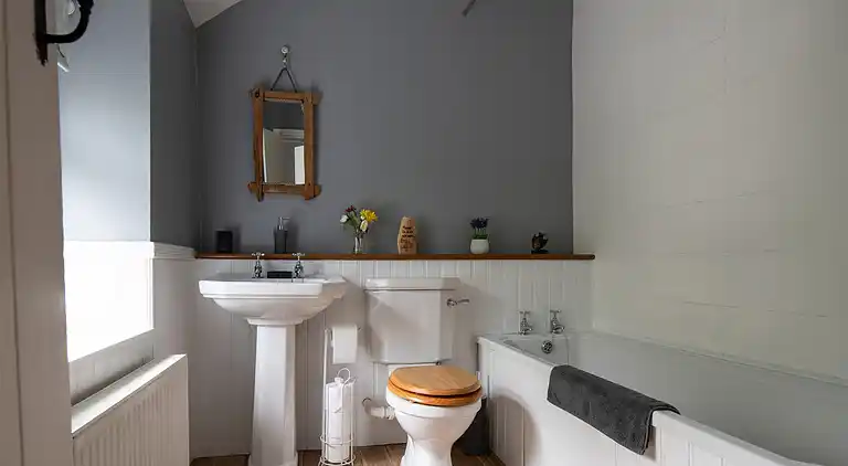 Cottage in Dolwyddelan