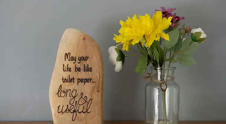 Cottage in Dolwyddelan