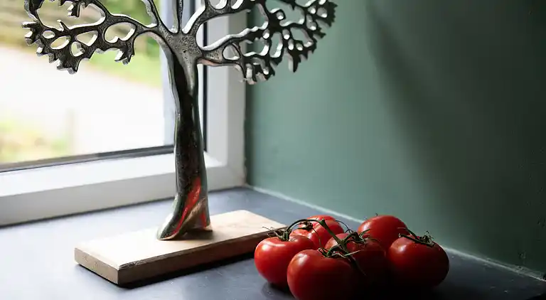 Cottage in Dolwyddelan