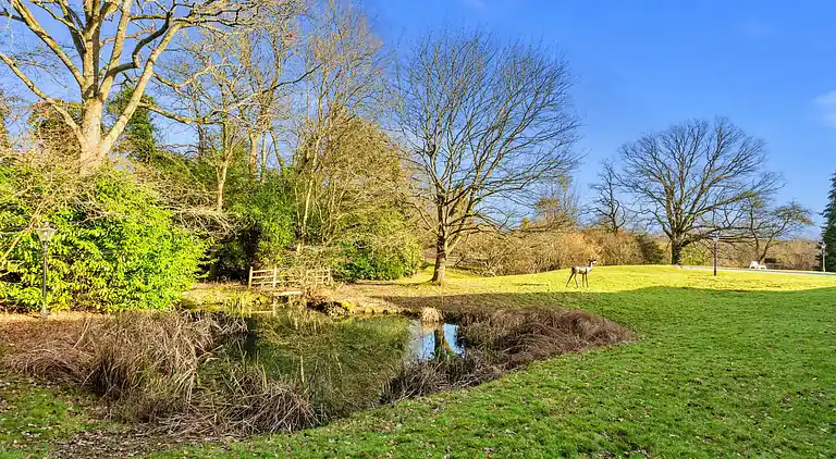 Cottage in Crawley Down