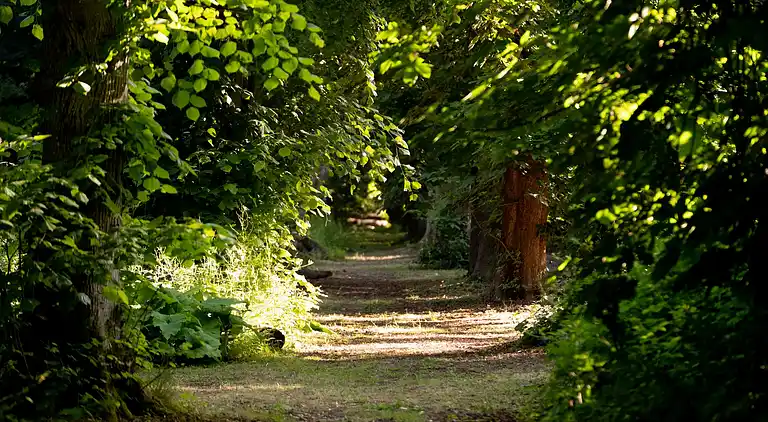 Cottage in Woolton Hill