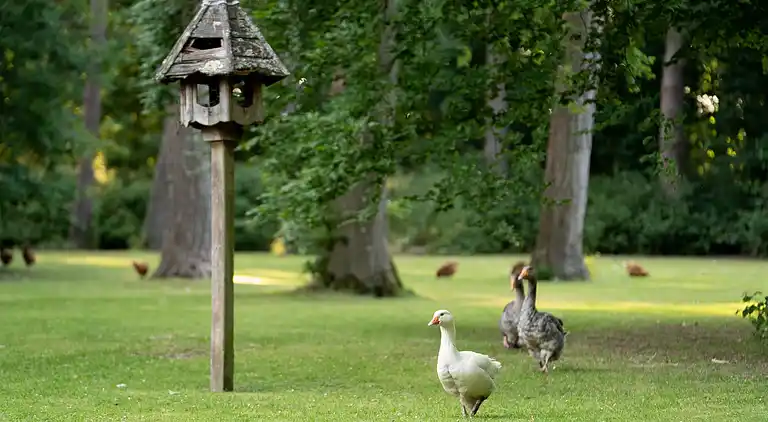 Cottage in Woolton Hill
