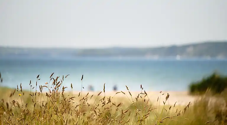 Cottage in Tywardreath