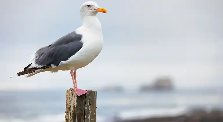 Ferienwohnung in Brighton
