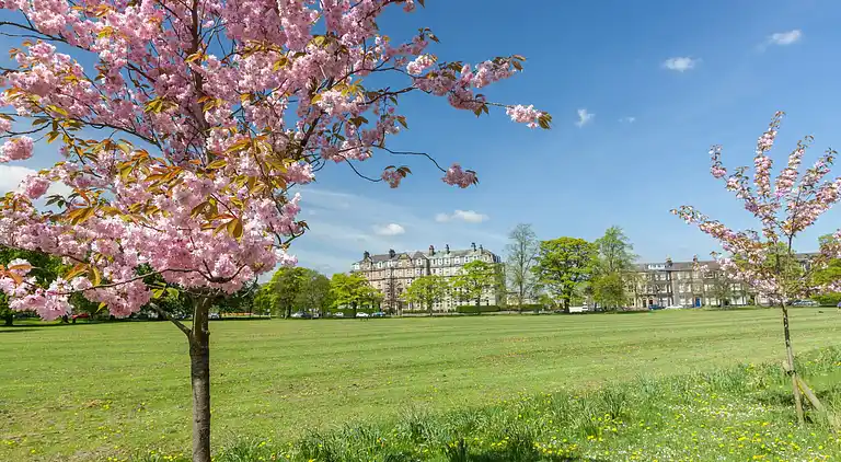 Apartment in Harrogate