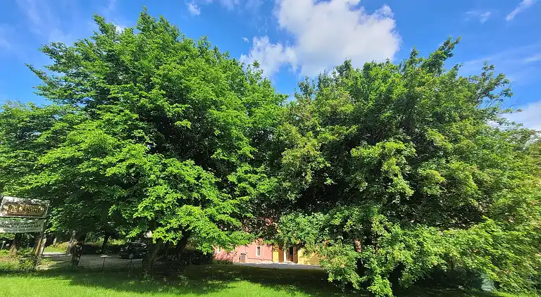 Semesterbostad i Pistoia