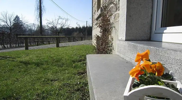 Holiday home in Petit-Thier