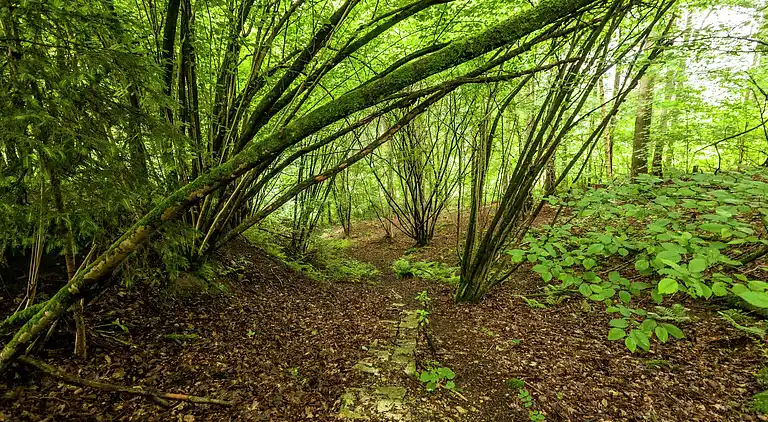 Apartment in Barvaux-sur-Ourthe