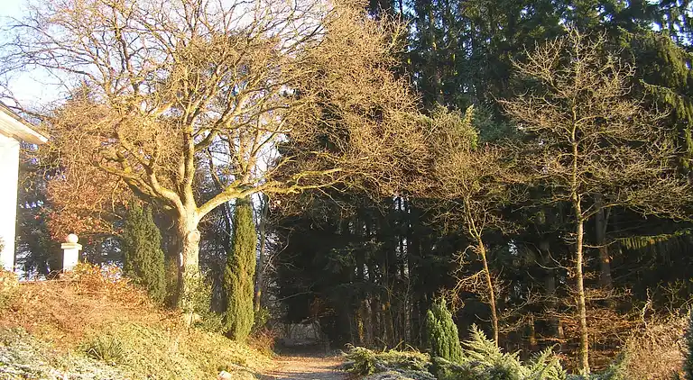 Ferielejlighed i Barvaux-sur-Ourthe