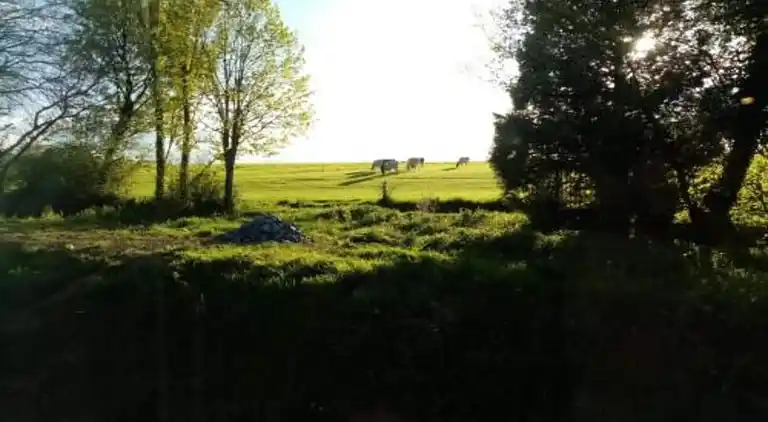 Ferielejlighed i Barvaux-sur-Ourthe