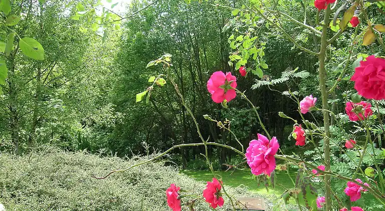 Ferielejlighed i Barvaux-sur-Ourthe