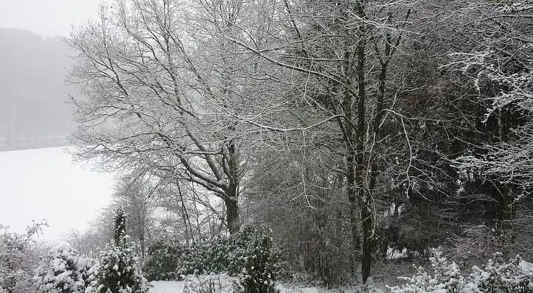 Apartment in Barvaux-sur-Ourthe