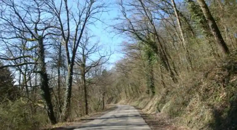 Ferielejlighed i Barvaux-sur-Ourthe